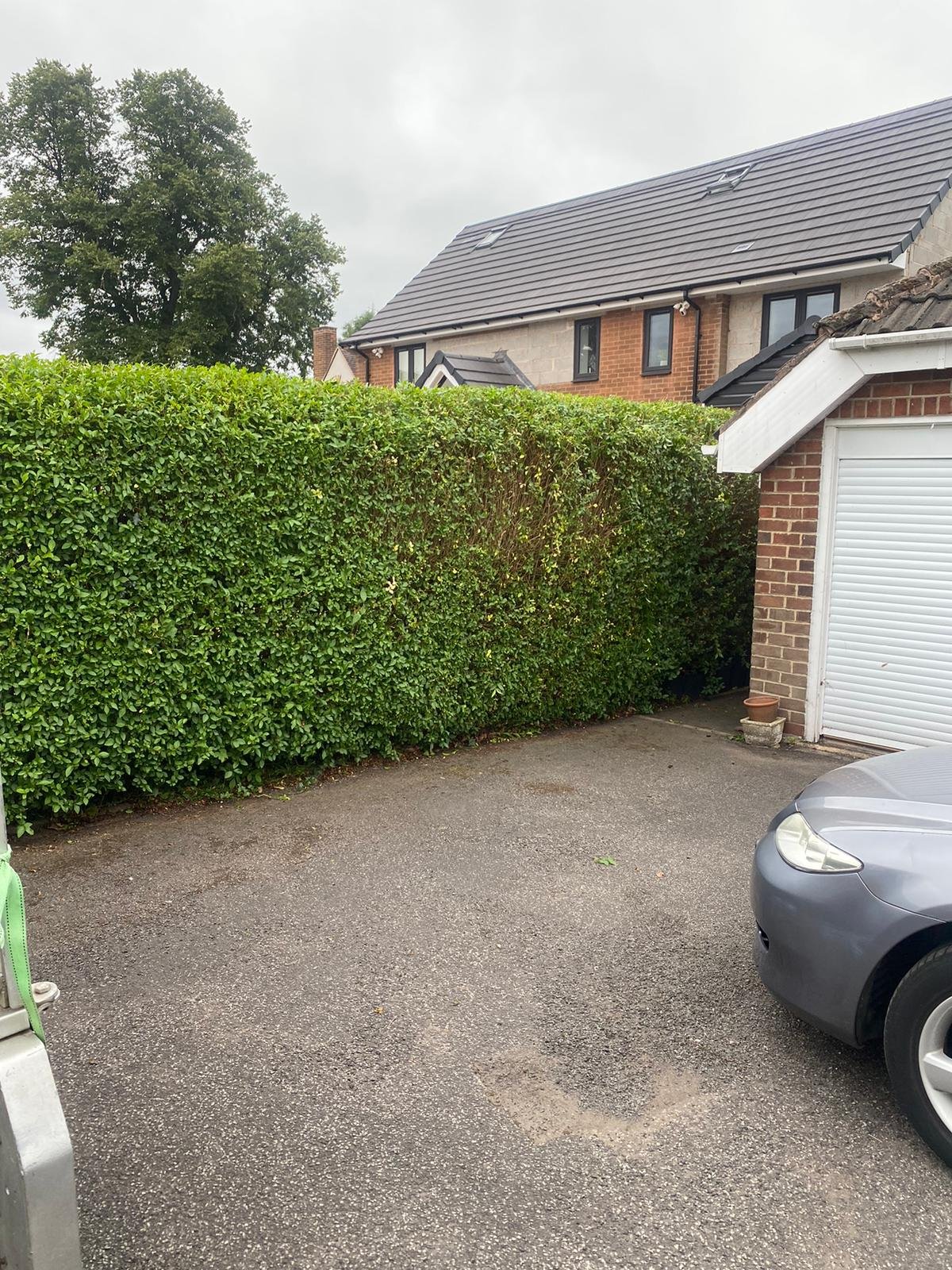 Hedge Trimming - After