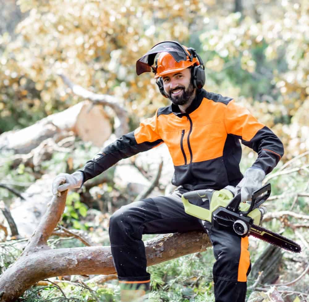 Emergency Tree Services Leicester Emergency Tree Services Leicester