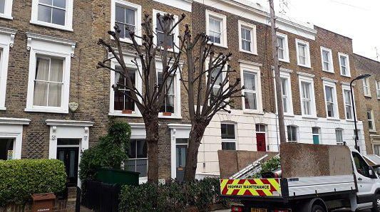 Tree Surgery Leicestershire Tree Surgery Leicestershire